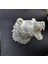 Dekoratif Beyaz Ayı Duvar Heykeli Asılabilir Hediyelik 25X19 cm - BI001V-4YVOX7 3