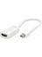 Dısplay Mını To Hdmı F Çevirici 4K 30Hz Thunderbolt2 Beyaz HDX7768 1