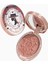 Chocolate Wonder-Shop Embossed Blush Lüks Pudra Allık 1