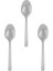 25 Adet Plastik Kaşık Gümüş 1