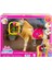 HXJ42 Barbie ve Dansçı Atı - Barbie Mysteries: The Great Horse Chase 5