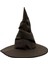 Ieg Harry Potter Seçmen Şapka Yetişkin Boy 1