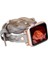 Apple Watch Uyumlu Deri Kordon Peggy 38-40-41MM Dtrtrst9 5