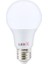 Ledx AL-A109G 9 Watt E27 6500K 810 Lümen Günışığı LED Ampul 1