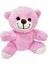Pembe Peluş Oyuncak Ayıcık 1