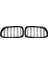 Parlak Siyah Araba Ön Böbrek Grille Izgara For-Bmw 5 Serisi F10 F11 F18 M5 2010-2017 (Yurt Dışından) 1