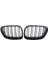 Bmw X5 E53 1998-2003 Çift Slat Sport Style Gloss Siyah Için Ön Izgara Böbrek Izgara Değiştirme (Yurt Dışından) 1