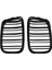 Parlak Siyah Ön Kaput Böbrek Grille Izgara Bmw E39 5 Serisi Için Çift Çizgi 525 528 1995-2004 51137005837 51137005838 (Yurt Dışından) 1
