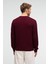 CABLIN Erkek Yuvarlak Yaka Regular Fit Triko Bordo Kazak 6