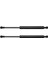 2pcs Hood Asansör Destek Struts Hoods Struts Shocks Şok 51238402551 Bmw X5 E53 2000-2006 (Yurt Dışından) 1