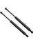 2pcs Hood Asansör Destek Struts Hoods Struts Shocks Şok 51238402551 Bmw X5 E53 2000-2006 (Yurt Dışından) 5