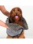 Kediler ve Köpekler Için Emici Havlular - Çabuk Kuruyan Banyo Havluları (Yurt Dışından) 3