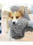 Kediler ve Köpekler Için Emici Havlular - Çabuk Kuruyan Banyo Havluları (Yurt Dışından) 4