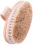 Doğal At Kılı Selülit Fırçası 1