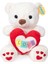 4762 Peluş Ayı Kalpli 30 cm 2