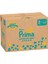 Premium Care Bebek Bezi 3 Numara 144 Adet Aylık Fırsat Paketi 2