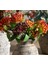 BERRY DAL ÇİÇEK TURUNCU 43CM 4
