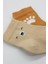 Nessiworld Bear Penye Soket Çorap 2'li BS10116 Bej 4