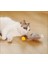 Tüylü Şarjlı Kedi Oyuncağı 4