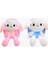 Peluş Işıklı Oynar Kulaklı My Melody ve Cinnamoroll Sırt Çantası ALK3012 2