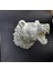 Özel Tasarım Beyaz Ayı Duvar Aksesuarı 3D Dekoratif Heykel 25X19 cm 3