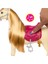 HXJ42 Barbie ve Dansçı Atı - Barbie Mysteries: The Great Horse Chase 3