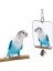 Uniq Bird Toys Zilli Dikdörtgen Kuş Aynası Oyuncağı ( Muhabbet Cennet Vb. ) 1
