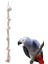 Uniq Bird Toys Papağan Kuş Stres Halatı 1