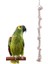 Uniq Bird Toys Papağan Kuş Stres Halatı 3