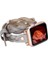 Apple Watch Uyumlu Deri Kordon Peggy 38-40-41MM Dtrtrst9 5