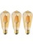 Tipi Edison Model Filament Tasarruflu ST64 LED Rustik Dekoratif Ampul Aydınlatma (3, 6 Watt ST64) 2