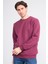 Çetinkaya Mentality 3036 3 Ip Bisiklet Yaka Mürdüm Sweatshirt 2