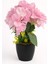 Pink Harmony Hydrangea – Pembe Ortanca Aranjmanı 1