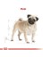 Pug Yetişkin Kuru Köpek Maması 1.5kg 12