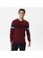 Erkek Regular Fit Uzun Kollu Bisiklet Yaka Renk Bloklu Bordo Triko 1