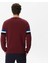 Erkek Regular Fit Uzun Kollu Bisiklet Yaka Renk Bloklu Bordo Triko 2