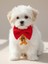 Kurabiye Adam Küçük Irk Köpek Papyon Tasması | Kırmızı Fiyonk Boyun Aksesuarı | Noel Temalı Köpek Süsü 1
