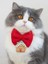 Gingerhome Kedi Papyon Tasması | Kırmızı Fiyonk Boyun Aksesuarı | Noel Temalı Kedi Süsü 5