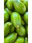 Alanya Avokadosu - Dalından Taze Hasat - 3 kg 2