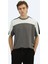 Antrasit Düz Bisiklet Yaka T-Shirt 6