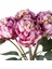 ŞAKAYIK BUKET MOR 40 CM 2