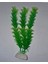 PB10 Plastik Akvaryum Bitkisi 20 cm 1