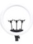 Rgb Ringlight 54CM Işıklı 3'lü Telefon Tutucu LED Selfie Youtuber Tiktok Işığı Kumandalı Mj-56 2