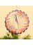 Açık Rüzgar Spinner Paslanmaz Çelik 3D Dönen Windchimes Bahçesi Dış Mekan Dekorasyon Rüzgar Spinners (Yurt Dışından) 5