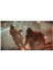 Killzone: Shadow Fall PS4 Oyun Aksiyon FPS Çoklu Oyuncu Desteği ile Playstation 4 Uyumlu 5