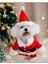 Şenlikli Noel Baba Köpek Kostüm Seti – Küçük Irklar Için Sıcak Polyester Tulum, Kazak Tasarım Evcil Hayvan Kıyafeti-L Beden 2