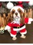 Şenlikli Noel Baba Köpek Kostüm Seti – Küçük Irklar Için Sıcak Polyester Tulum, Kazak Tasarım Evcil Hayvan Kıyafeti-L Beden 6