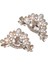2pcs Düğün Ayakkabı Süslemeleri Topuk Ayakkabı Klipsi Kadınlar Gelin Dekorasyon Rhinestone Parlak Dekoratif Klip Cazibe Toka (Yurt Dışından) 1