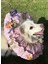 Kedi ve Köpek Operasyon Boyunluk,yakalık,yastık (Xl Dış Çap:45 Cm) % 100 Koruma Kumaş Huni Model 03 4