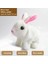 Plush Pet Pilli Tavşan cm Oyuncak 2